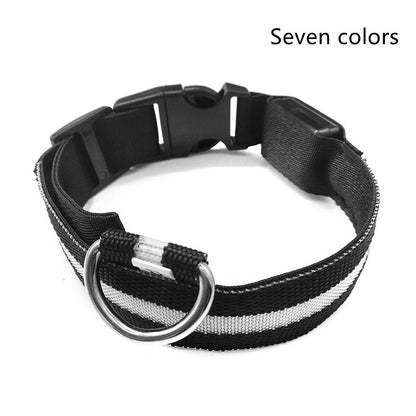 PetCarePlusShop®| Adjustable Nylon LED Pet Collar