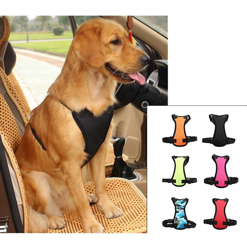 PetCarePlusShop®| Top-Quality Car Seat Belts for Pets