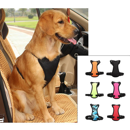 PetCarePlusShop®| Top-Quality Car Seat Belts for Pets