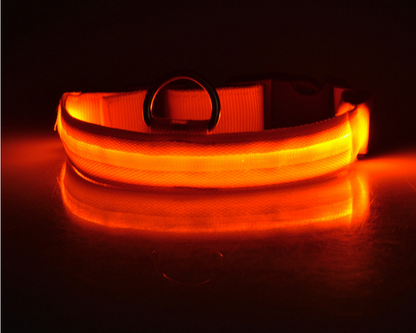 PetCarePlusShop®| Adjustable Nylon LED Pet Collar