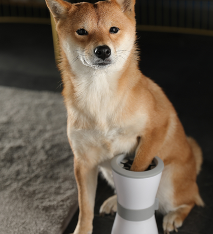 PetCarePlusShop®|Electric foot washing cups for pets