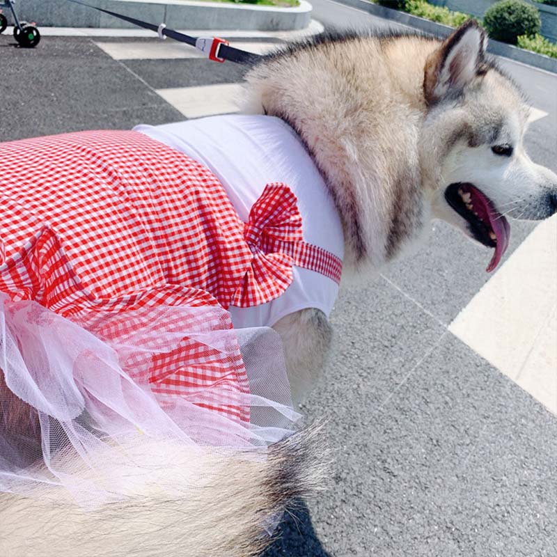 PetCarePlusShop® |Large Breed Princess Dog Costume