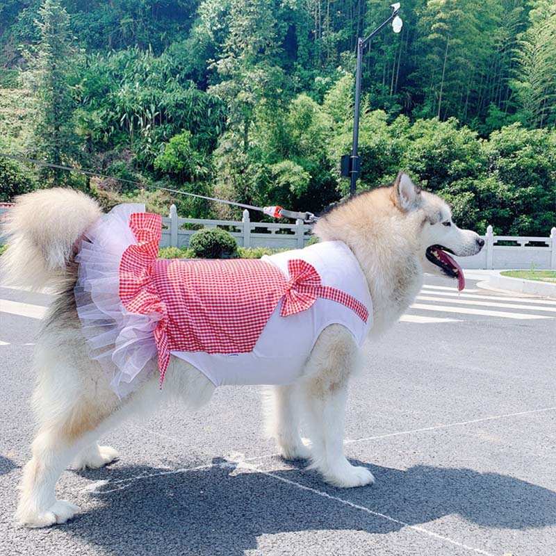 PetCarePlusShop® |Large Breed Princess Dog Costume