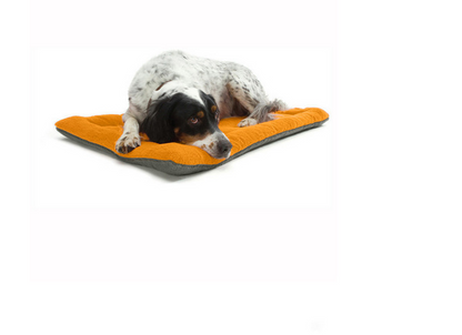 PetCarePlusShop®|Seasonal Comfort: Spring, Summer, Autumn, and Winter Pet Dog Cotton Pad