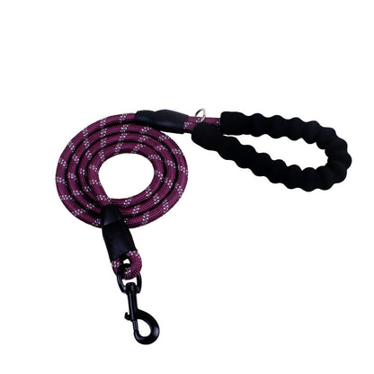 PetCarePlusShop®|Reflective Nylon Dog Leash for Small to Large Dogs