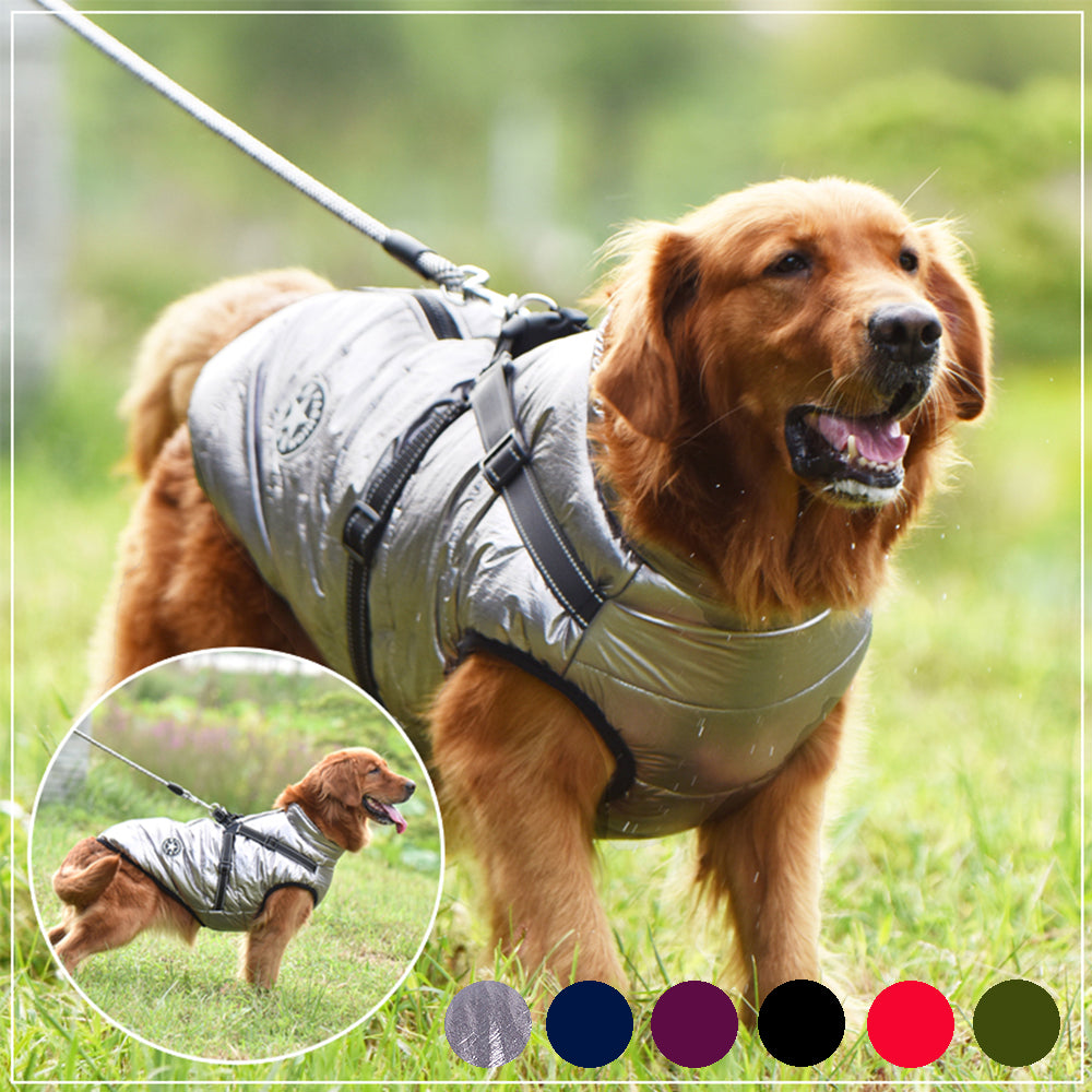 PetCarePlusShop®| Winter Dog Coats with Harnesses – Warm, Waterproof, and Stylish