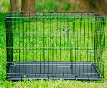 PetCarePlusShop®|Folding Metal Dog Cage