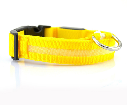 PetCarePlusShop®| Adjustable Nylon LED Pet Collar