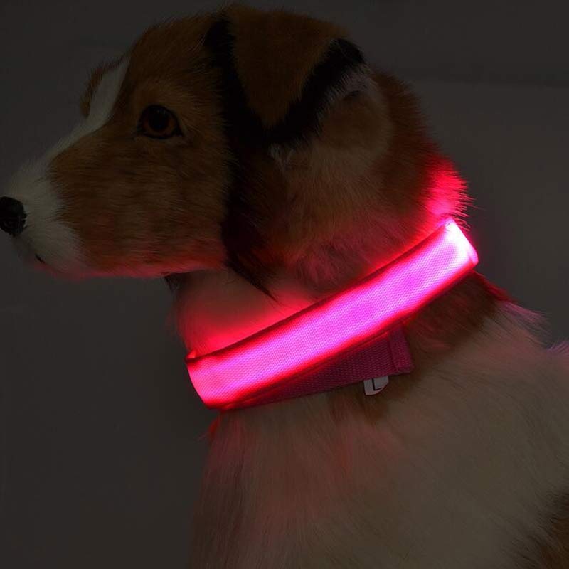 PetCarePlusShop®| Adjustable Nylon LED Pet Collar