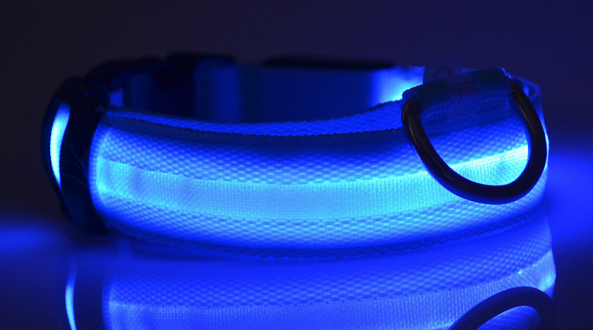 PetCarePlusShop®| Adjustable Nylon LED Pet Collar