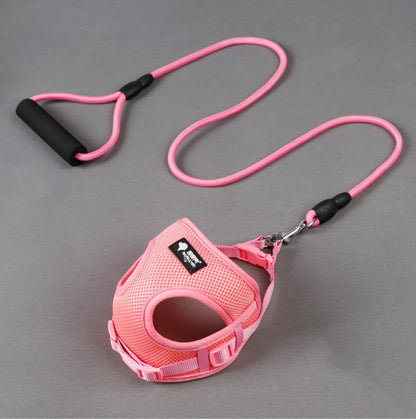 PetCarePlusShop®|Colourful Round Rope Pet Leash