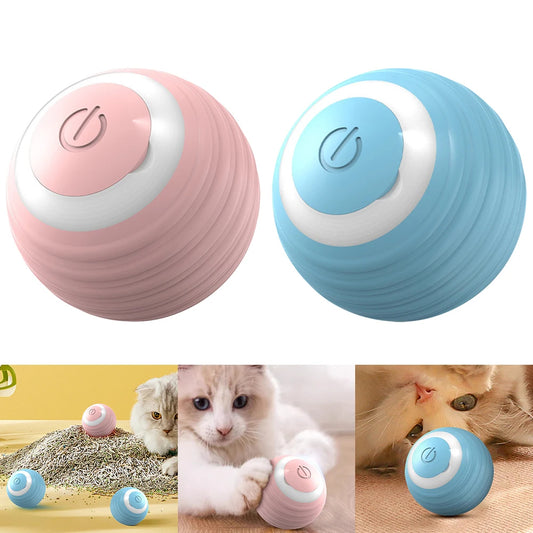 PetCarePlusShop®| Electric Cat Self Rolling Ball Toy