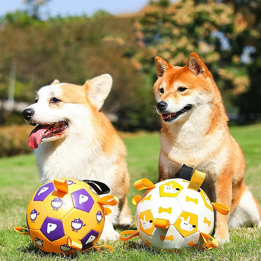 PetCarePlusShop®|Interactive Soccer Dog Toy for Outdoor Fun and Training