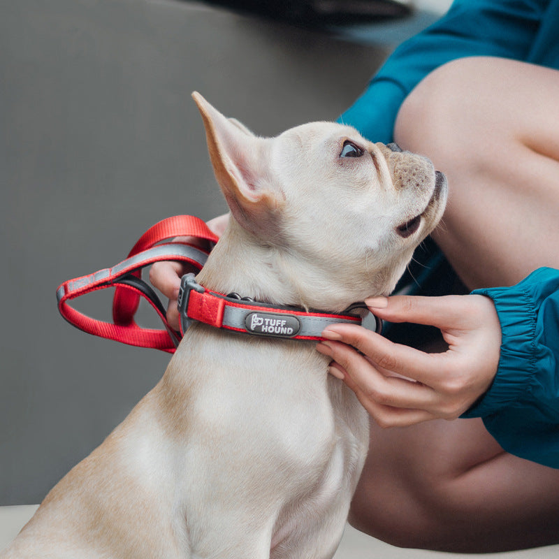 PetCarePlusShop®| Reflective Full Neck Dog Collar & Leash Set