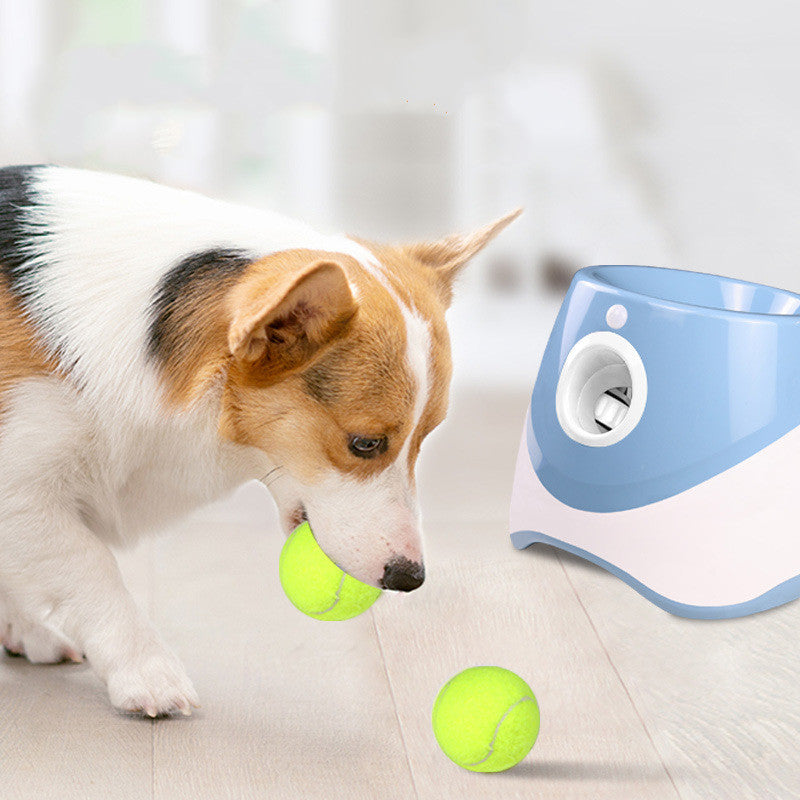 PetCarePlusShop®| Automatic Pet Tennis Launcher Toy