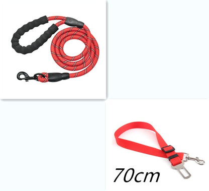 PetCarePlusShop®|Reflective Nylon Dog Leash for Small to Large Dogs