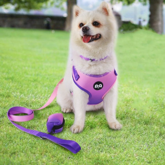 PetCarePlusShop®| Dog Hand Holding Rope Strap Set