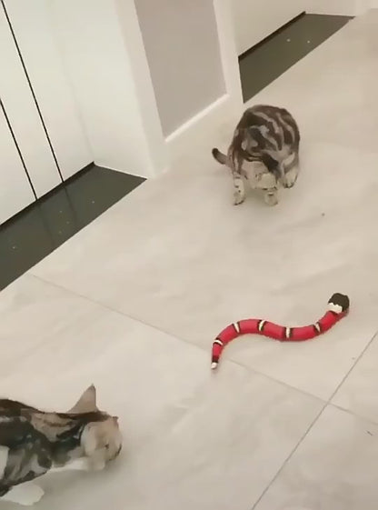 PetCarePlusShop®|Smart Sensing Snake Interactive Cat Toys