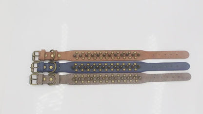 PetCarePlusShop®|Large Spiked Leather Dog Collar for Pit Bulls - Retro Studded Rivet Design