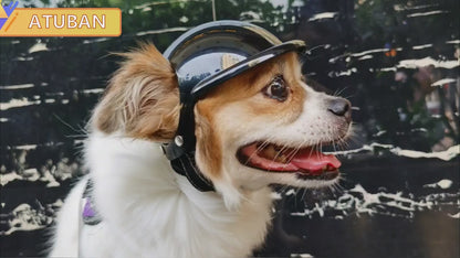 PetCarePlusShop®|Adjustable Dog Helmet & Goggles Set for Safety and Style