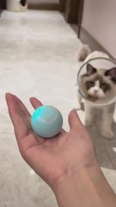 PetCarePlusShop®| Electric Cat Self Rolling Ball Toy